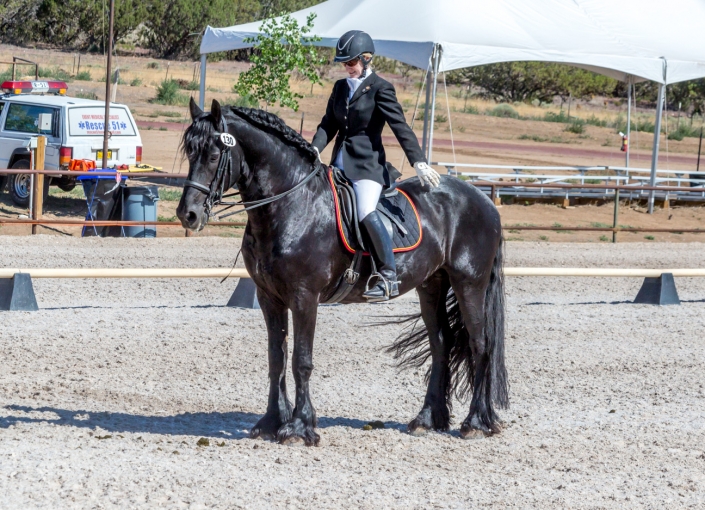 Best Equine Horse Photography Santa Fe NM